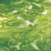 Moss Green/White