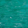 Teal Green/White