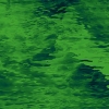 Medium Green