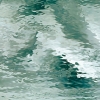 Sea Green