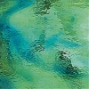 Pale Green/Aqua