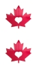 Maple Leaf 2in with Heart cut out - 2 PACK