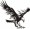 Precut 12" Vinyl Stencils - Flaming Eagle